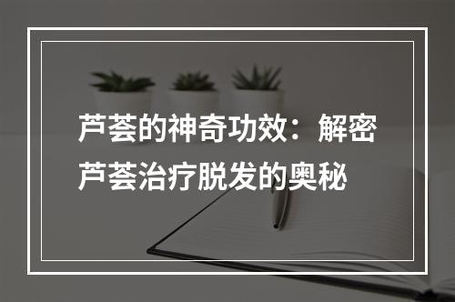 芦荟的神奇功效：解密芦荟治疗脱发的奥秘