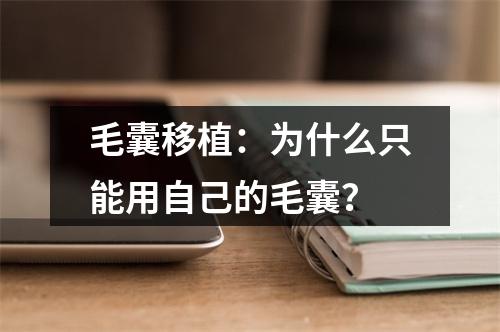 毛囊移植：为什么只能用自己的毛囊？