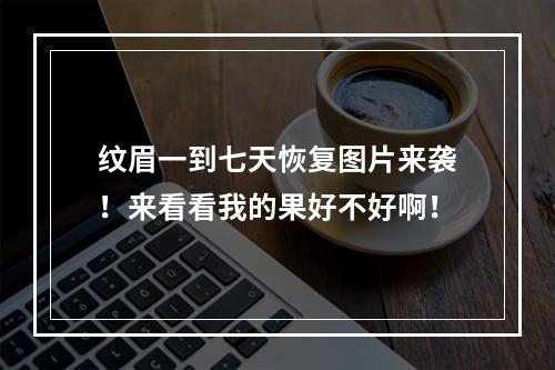 纹眉一到七天恢复图片来袭！来看看我的果好不好啊！