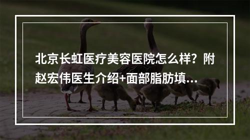 北京长虹医疗美容医院怎么样？附赵宏伟医生介绍+面部脂肪填充案例