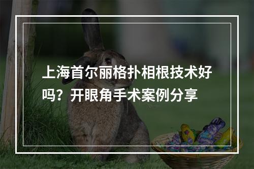 上海首尔丽格扑相根技术好吗？开眼角手术案例分享