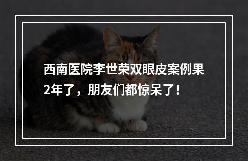 西南医院李世荣双眼皮案例果2年了，朋友们都惊呆了！