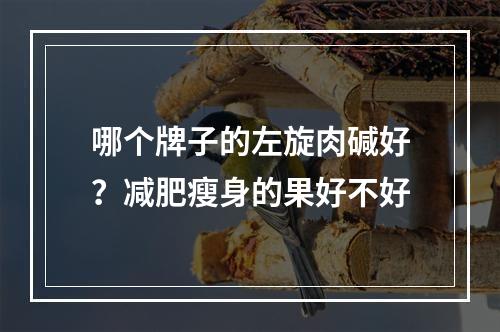 哪个牌子的左旋肉碱好？减肥瘦身的果好不好