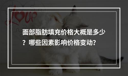 面部脂肪填充价格大概是多少？哪些因素影响价格变动？