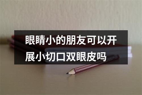 眼睛小的朋友可以开展小切口双眼皮吗