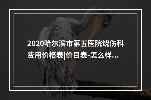 2020哈尔滨市第五医院烧伤科费用价格表|价目表-怎么样-靠谱吗-好不好