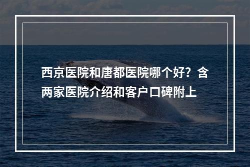 西京医院和唐都医院哪个好？含两家医院介绍和客户口碑附上