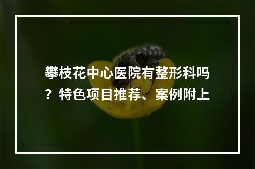 攀枝花中心医院有整形科吗？特色项目推荐、案例附上