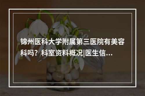 锦州医科大学附属第三医院有美容科吗？科室资料概况|医生信息|价格表