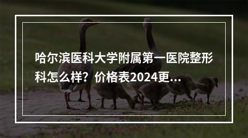 哈尔滨医科大学附属第一医院整形科怎么样？价格表2024更新啦~