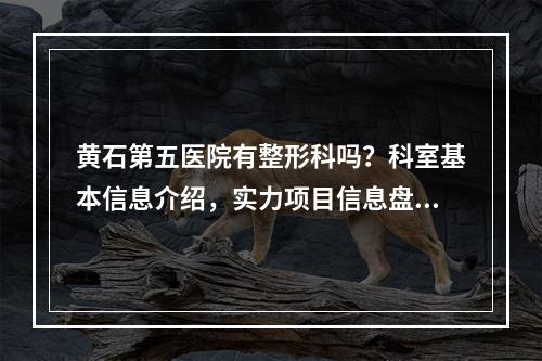 黄石第五医院有整形科吗？科室基本信息介绍，实力项目信息盘点，附价格信息详情表！