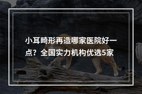 小耳畸形再造哪家医院好一点？全国实力机构优选5家