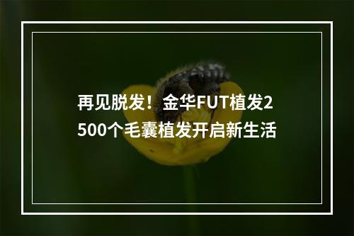 再见脱发！金华FUT植发2500个毛囊植发开启新生活