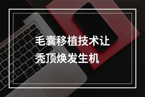 毛囊移植技术让秃顶焕发生机