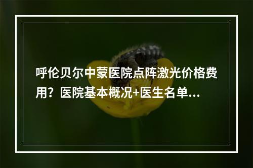 呼伦贝尔中蒙医院点阵激光价格费用？医院基本概况+医生名单公布了！