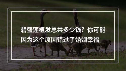 碧盛莲植发总共多少钱？你可能因为这个原因错过了婚姻幸福