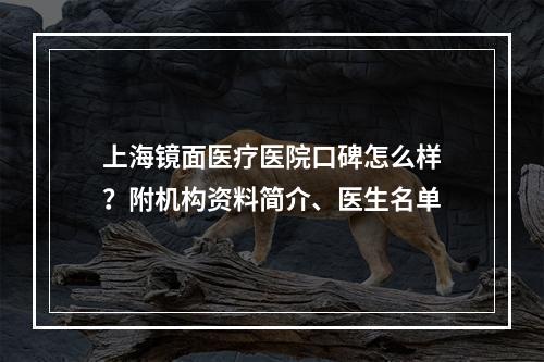 上海镜面医疗医院口碑怎么样？附机构资料简介、医生名单