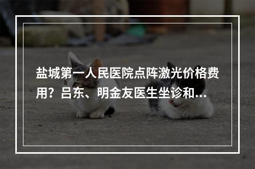 盐城第一人民医院点阵激光价格费用？吕东、明金友医生坐诊和医院皮肤科介绍！