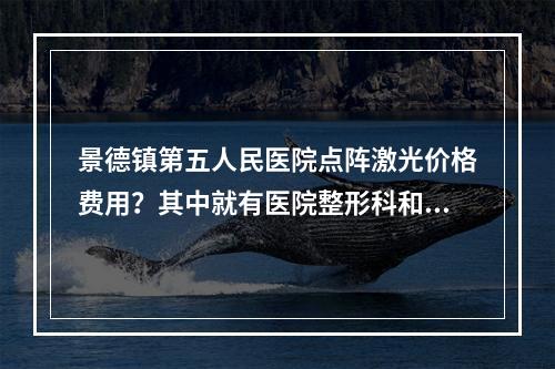 景德镇第五人民医院点阵激光价格费用？其中就有医院整形科和整形医生实力分享