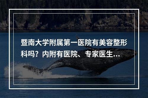 暨南大学附属第一医院有美容整形科吗？内附有医院、专家医生推荐