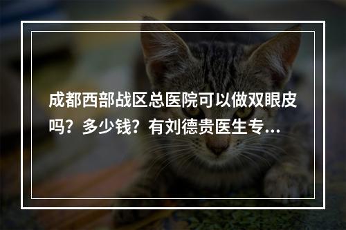 成都西部战区总医院可以做双眼皮吗？多少钱？有刘德贵医生专家坐诊西部战区总医院整形科！