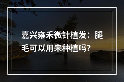 嘉兴雍禾微针植发：腿毛可以用来种植吗？