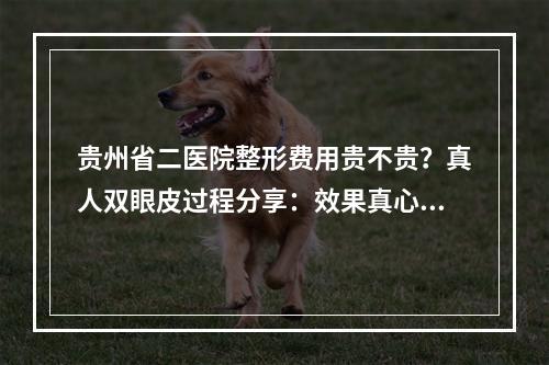 贵州省二医院整形费用贵不贵？真人双眼皮过程分享：效果真心不错！