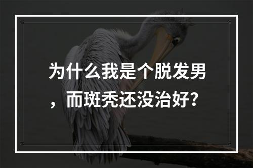 为什么我是个脱发男，而斑秃还没治好？