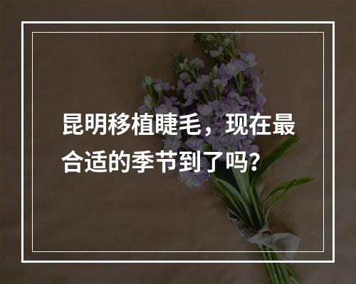 昆明移植睫毛，现在最合适的季节到了吗？