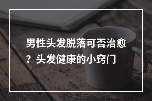 男性头发脱落可否治愈？头发健康的小窍门