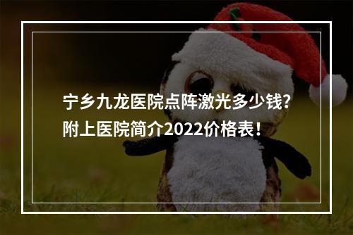 宁乡九龙医院点阵激光多少钱？附上医院简介2022价格表！