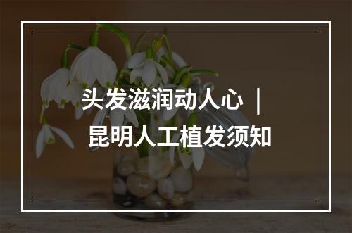 头发滋润动人心  | 昆明人工植发须知