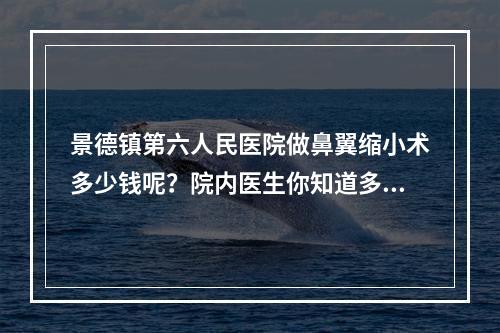 景德镇第六人民医院做鼻翼缩小术多少钱呢？院内医生你知道多少呢？