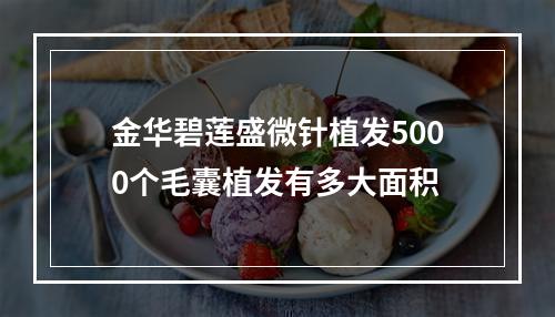 金华碧莲盛微针植发5000个毛囊植发有多大面积