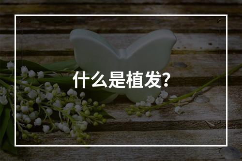 什么是植发？