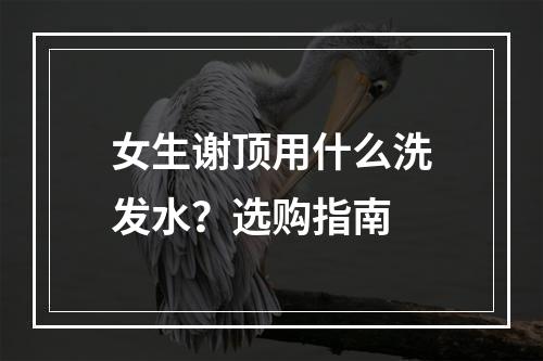 女生谢顶用什么洗发水？选购指南