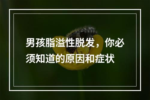 男孩脂溢性脱发，你必须知道的原因和症状