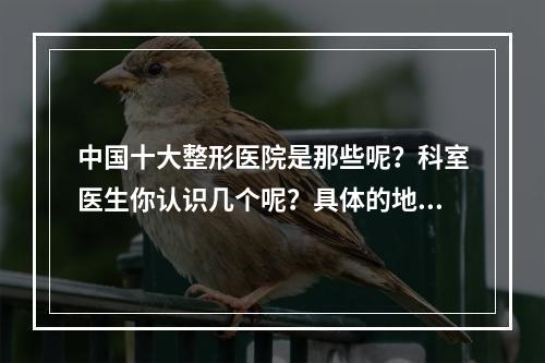 中国十大整形医院是那些呢？科室医生你认识几个呢？具体的地理位置你知道吗？