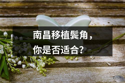 南昌移植鬓角，你是否适合？