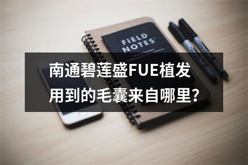 南通碧莲盛FUE植发用到的毛囊来自哪里？