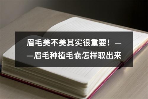 眉毛美不美其实很重要！——眉毛种植毛囊怎样取出来