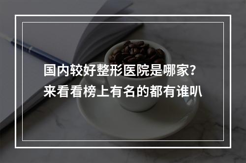 国内较好整形医院是哪家？来看看榜上有名的都有谁叭