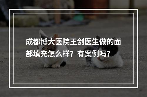 成都博大医院王剑医生做的面部填充怎么样？有案例吗？