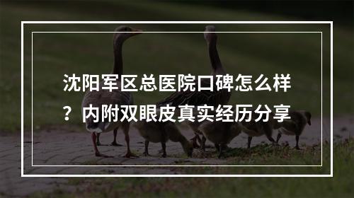 沈阳军区总医院口碑怎么样？内附双眼皮真实经历分享