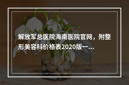 解放军总医院海南医院官网，附整形美容科价格表2020版一览