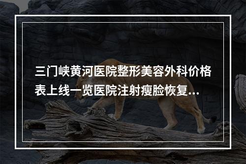 三门峡黄河医院整形美容外科价格表上线一览医院注射瘦脸恢复果图