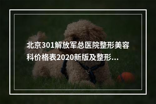 北京301解放军总医院整形美容科价格表2020新版及整形修复案例