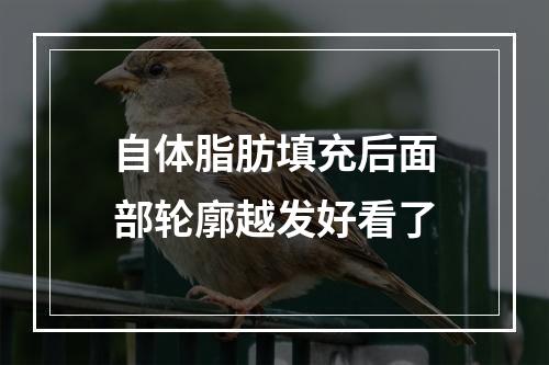 自体脂肪填充后面部轮廓越发好看了