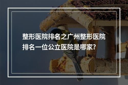 整形医院排名之广州整形医院排名一位公立医院是哪家?