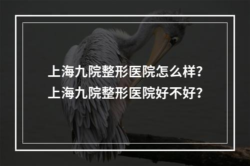 上海九院整形医院怎么样？上海九院整形医院好不好？